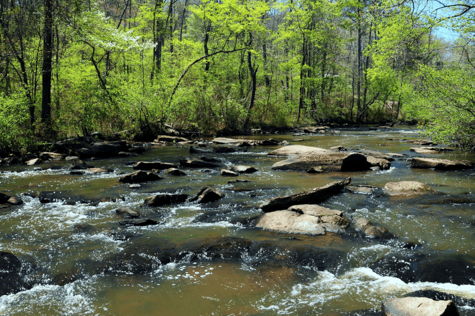 Discover Peachtree City, Georgia